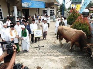 Fachrori Serahkan Sapi Kurban Seharga Rp 55Juta Bantuan Presiden RI di Olak Kemang