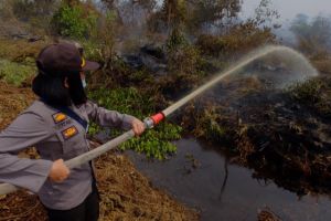 Demi Pengabdian, Polwan Cantik Ini Turut Padami Karhutla di Kumpeh Muaro Jambi 