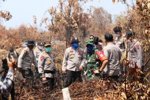 Kapolda Jambi Turun ke Lokasi Padami Api di Kumpeh Ulu