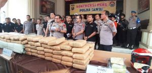 Ganja Seberat 259 Kg dan 3 Orang Pelaku Diringkus Polda Jambi