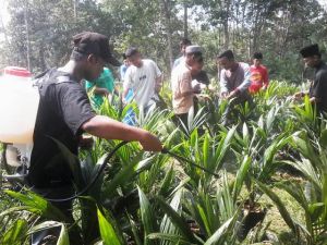 SMK Asy’ariyah Bersama Dosen Fakultas Pertanian UNJA Gelar Pelatihan Aplikasi MOL