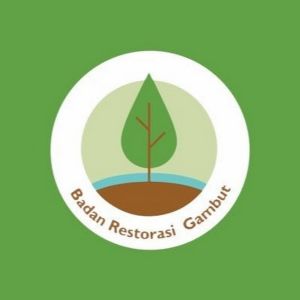 BRG Periksa Sekat Kanal dan Sumur Bor untuk Optimalisasi Pembasahan Gambut