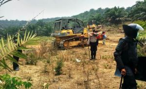 Pengembalian Fungsi Lahan Kawasan Hutan Tindak Lanjut Putusan Pengadilan di Kasus Berton Simorangkir