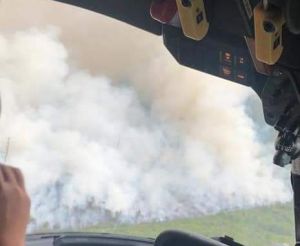 Polisi Periksa  Manajemen Dua Perusahaan di Muaro Jambi