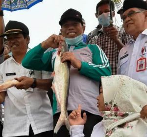 Wabup Buka Lubuk Larangan Buluran Panjang, Ratusan Perahu Penuhi Sungai Tabir