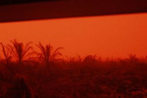 Akibat Karhutla, Langit Di Kumpeh Muaro Jambi Berwarna Merah, Siang Hari Bak Suasana Magrib