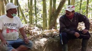 Mulai Rencanakan Pembersihan Pohon Di Sekitar Jalan TMMD