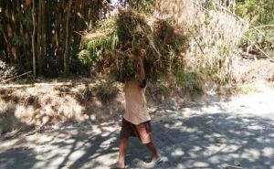 Mbah Tarto Yang Pintar Bagi Waktu Saat Ber TMMD