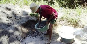 Mbah Samijo Ingin Bantu TMMD Semampunya