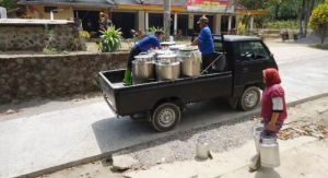 Pasca TMMD Produksi Susu di Sangup Akan Maksimal