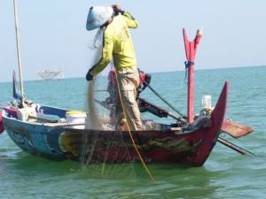 Produksi Ikan di Tanjabbar Turun, Suprayogi : Nelayan Terpaksa Kerja Serabutan