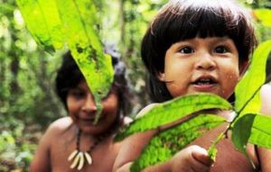 3 Kali Konflik dengan Orang Rimba Berakhir Damai, WARSI: Harusnya Kembalikan Sumber Penghidupan