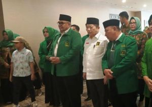 Ini Catatan Ketum PPP Untuk Pilkada Jambi
