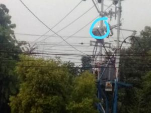 Gardu Belakang Kejati Jambi Keluarkan Percikan Api