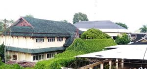 Eks Gedung Pertanian di Belakang Kantor DPRD Provinsi Jambi Nyaris Diselimuti Rumput Liar