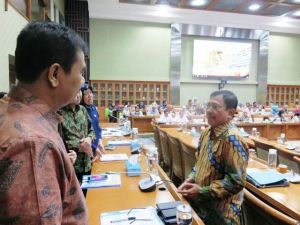 SAH: Peningkatan Kualitas Kesehatan Butuh Komitmen Kuat Pemerintah