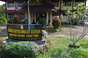 381 Berkas CPNS 2019 Di Tanjabtim Dinyatakan Gugur