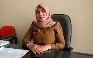 Akhirnya Dinkes Angkat Bicara Soal DBD di Jambi, Satu Diantaranya Meninggal Dunia