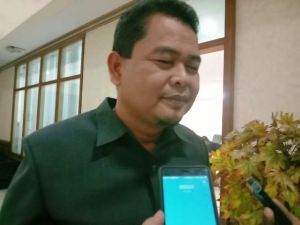 Soal Cabup yang Diusung PKB di Batanghari, Elpisina Sebut 3 Hal Ini