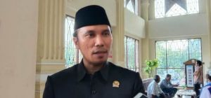 Pilih Sani Atau Safrial, Edi: Tegantung Bu Megawati