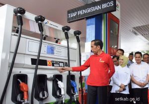 Mandatori B30 Diterapkan Awal Januari, Pemerintah Jamin Harga Biosolar Tidak Naik 