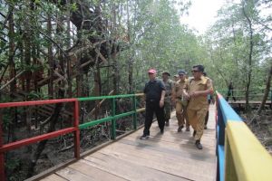 Safrial Resmikan Destinasi Ekowisata Hutan Mangrove Pangkal Babu