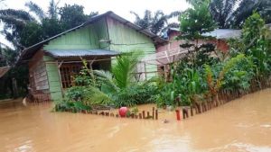 5 Kecamatan Rawan Banjir, BPBD Tanjabbar Lakukan Pemetaan