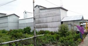 PAD Sektor Pajak Sarang Burung Walet Over Target
