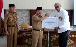 Bupati Merangin Terima Piagam Penghargaan Dari PLN