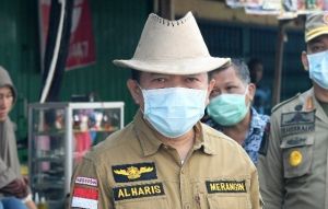 Bupati Merangin Al Haris Siap Suplai Daun Sungkai, Jika Terbukti Ampuh Obati Corona