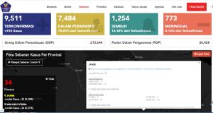 Update 29 April, Pasien Covid 19 di Indonesia 9.771, di Jambi 32 Kasus, 17 Pria dan 15 Perempuan