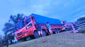 Ditreskrimsus Polda Jambi Amankan 2 Truk Bermuatan Kayu Ilegal yang akan Dibawa ke Sumatra Utara