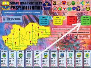 Data Berbeda dengan Rekap Dinkes Provinsi Jambi, Ternyata 91 Uji Swab Masih Menunggu Hasil
