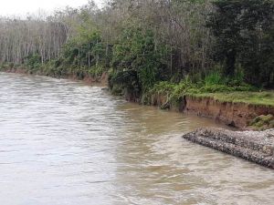 Akibat Longsor, Warga Cemas Kondisi Jembatan Pulau Aro