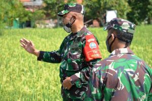 Tim Wasev Korem 073/Makutarama Gelar Kegiatan Pembinaan Kesiapan Aparat Kewilayahan Kodim 0716/Demak