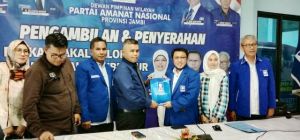 Daftar Ke PAN Sebagai Cagub, Tim Safrial Sebut Belum Ada Deklarasi Pasangan