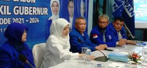 Sampaikan Alasan Maju di Pilgub, Ratu: Mari Jadikan Jambi Provinsi yang Terhormat