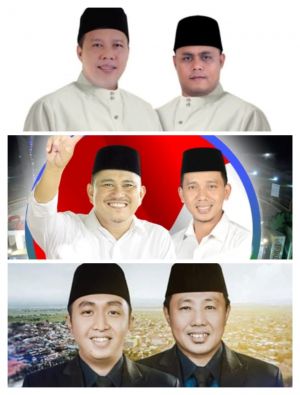 Pilkada Tanjabtim, Bungo, Sungai Penuh Tak Ada Lawan, Terlalu Kuat Atau Lawan Terlalu Takut ?