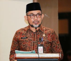 Sudirman: Pemprov Jambi Dukung Konservasi Habitat Gajah Sumatera