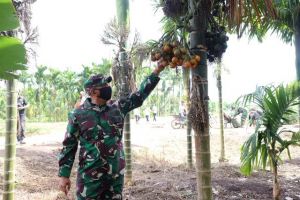 Danrem Gapu Apresiasi Warga Labuhan Pering Tanam Pinang