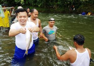 Bupati Bersama Wabup Buka Lubuk Larangan Desa Air Liki