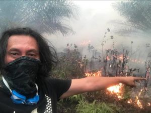 Kebakaran Gambut Berulang, Evaluasi Izin Perlu Dilakukan