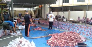 Polda Jambi Kurban 1.275 Ton Daging di Hari Raya Idul Adha 1441 H 
