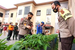 Kapolda Panen Kangkung hingga Cabai di Lapangan Mapolres Tanjabbar, Humas : Ini Program Kapolri