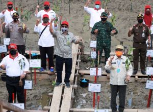 Fachrori: Kita Harus Lestarikan Hutan Mangrove