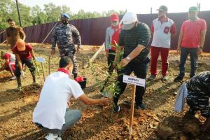 Bupati dan Danlanal Palembang Tanam Mangrove Di Kawasan Pelabuhan Roro