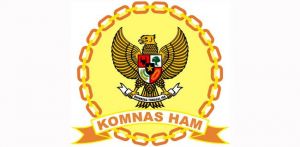 Komnas HAM RI Minta KPU dan DPR Tunda Pelaksanaan Pilkada