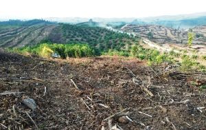 Turun Aksi, Besok Ribuan Petani dan Mahasiswa Akan Ajukan Tuntutan Ini