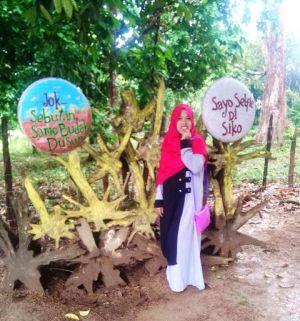 Korean Wave, Layakkah Jadi Panutan