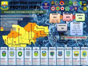 Update 12 Oktober 2020, Sarolangun Tambah 13 Kasus Covid-19 Hari Ini